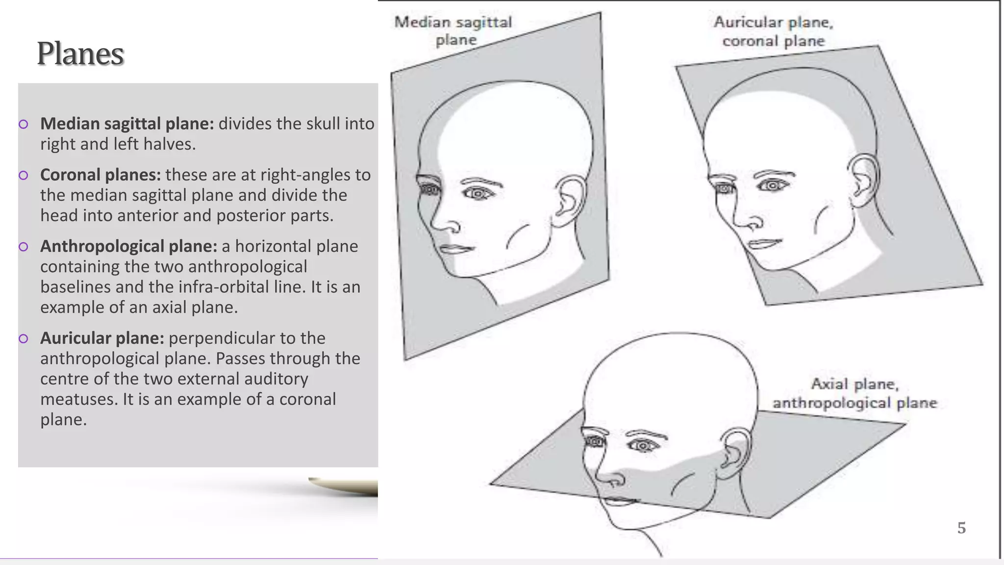 Contoso Ltd.
○ Median sagittal plane: divides the skull into
right and left halves.
○ Coronal planes: these are at right-angles to
the median sagittal plane and divide the
head into anterior and posterior parts.
○ Anthropological plane: a horizontal plane
containing the two anthropological
baselines and the infra-orbital line. It is an
example of an axial plane.
○ Auricular plane: perpendicular to the
anthropological plane. Passes through the
centre of the two external auditory
meatuses. It is an example of a coronal
plane.
5
Planes
 