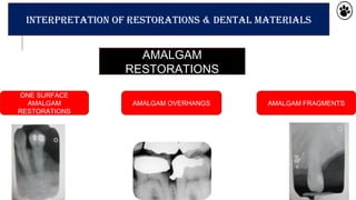Radiographs in endodontic diagnosis | PPT