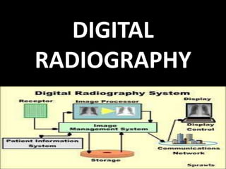 Radiography | PPTX