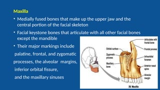 Radiography of skull [Autosaved].pptxriuyowioehgg | PPTX