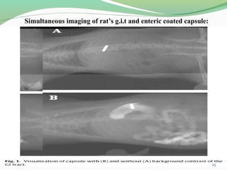 Simultaneous imaging of rat’s g.i.t and enteric coated capsule:
23
 