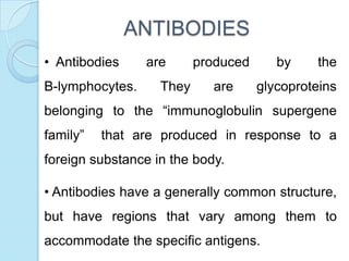 ANTIBODIES
• Antibodies are produced by the
B-lymphocytes. They are glycoproteins
belonging to the “immunoglobulin supergene
family” that are produced in response to a
foreign substance in the body.
• Antibodies have a generally common structure,
but have regions that vary among them to
accommodate the specific antigens.
 