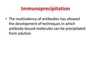 Immunoprecipitation
• The multivalency of antibodies has allowed
the development of techniques in which
antibody-bound molecules can be precipitated
from solution
 