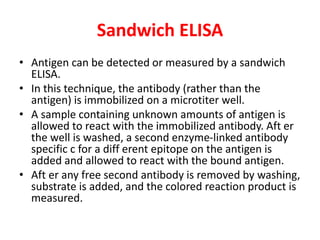 Sandwich ELISA
• Antigen can be detected or measured by a sandwich
ELISA.
• In this technique, the antibody (rather than the
antigen) is immobilized on a microtiter well.
• A sample containing unknown amounts of antigen is
allowed to react with the immobilized antibody. Aft er
the well is washed, a second enzyme-linked antibody
specific c for a diff erent epitope on the antigen is
added and allowed to react with the bound antigen.
• Aft er any free second antibody is removed by washing,
substrate is added, and the colored reaction product is
measured.
 