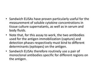 • Sandwich ELISAs have proven particularly useful for the
measurement of soluble cytokine concentrations in
tissue culture supernatants, as well as in serum and
body fluids.
• Note that, for this assay to work, the two antibodies
used for the antigen immobilization (capture) and
detection phases respectively must bind to different
determinants (epitopes) on the antigen.
• Sandwich ELISAs therefore routinely use a pair of
monoclonal antibodies specific for different regions on
the antigen.
 