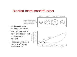 Radioimmunoassay