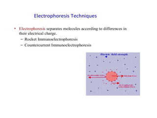 Radioimmunoassay