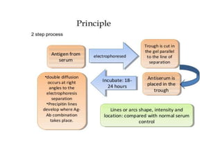 Radioimmunoassay