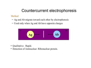 Radioimmunoassay