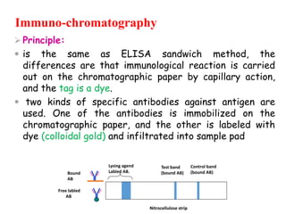 Radio Immuno Assay, Immuno Fluorescent Test, Lab 4.pptx