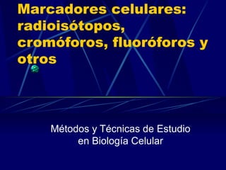 Marcadores celulares: radioisótopos, cromóforos, fluoróforos y otros Métodos y Técnicas de Estudio en Biología Celular 