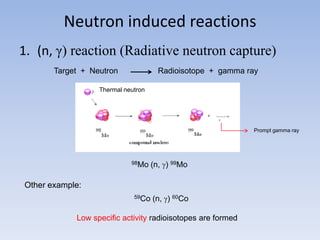 Neutron induced reactions
1. (n, γ) reaction (Radiative neutron capture)
Target + Neutron Radioisotope + gamma ray
Other example:
59Co (n, ) 60Co
Thermal neutron
Low specific activity radioisotopes are formed
Prompt gamma ray
98Mo (n, ) 99Mo
 