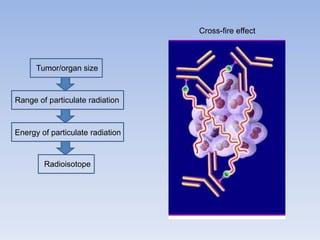Tumor/organ size
Range of particulate radiation
Energy of particulate radiation
Radioisotope
Cross-fire effect
 