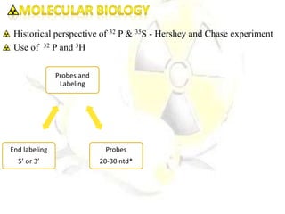 Historical perspective of 32 P & 35S - Hershey and Chase experiment
Use of 32 P and 3H
Probes and
Labeling
Probes
20-30 ntd*
End labeling
5’ or 3’
 