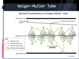 Geiger-Muller Tube
 