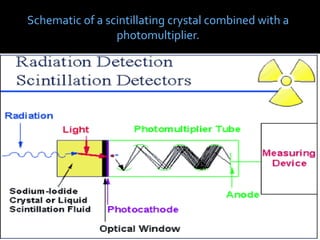 Schematic of a scintillating crystal combined with a
photomultiplier.
 