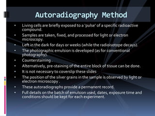 • Living cells are briefly exposed to a ‘pulse’ of a specific radioactive
compound.
• Samples are taken, fixed, and processed for light or electron
microscopy.
• Left in the dark for days or weeks (while the radioisotope decays).
• The photographic emulsion is developed (as for conventional
photography).
• Counterstaining .
• Alternatively, pre-staining of the entire block of tissue can be done.
• It is not necessary to coverslip these slides
• The position of the silver grains in the sample is observed by light or
electron microscopy .
• These autoradiographs provide a permanent record.
• Full details on the batch of emulsion used, dates, exposure time and
conditions should be kept for each experiment.
Autoradiography Method
 