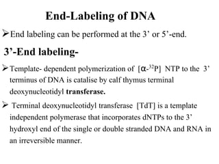 Radiolabeling technique | PPTX