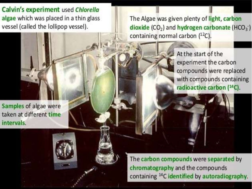 Radiolabeling technique