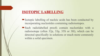 RADIOLABELLING TECHNIQUES M.Sc. Zoology pptx | PPTX