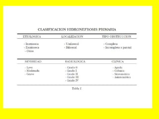 Radiología urológica