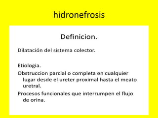 hidronefrosis
 