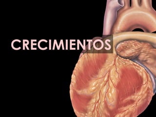 CRECIMIENTOS 