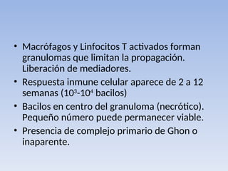 • Macrófagos y Linfocitos T activados forman
granulomas que limitan la propagación.
Liberación de mediadores.
• Respuesta inmune celular aparece de 2 a 12
semanas (103
-104
bacilos)
• Bacilos en centro del granuloma (necrótico).
Pequeño número puede permanecer viable.
• Presencia de complejo primario de Ghon o
inaparente.
 