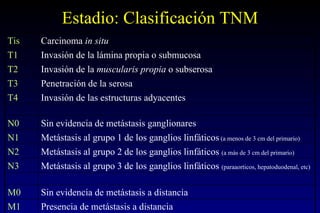 Estadio: Clasificación TNM Tis Carcinoma  in situ T1 Invasión de la lámina propia o submucosa T2 Invasión de la  muscularis propia  o subserosa T3 Penetración de la serosa T4 Invasión de las estructuras adyacentes N0 Sin evidencia de metástasis ganglionares N1 Metástasis al grupo 1 de los ganglios linfáticos  (a menos de 3 cm del primario) N2 Metástasis al grupo 2 de los ganglios linfáticos  (a más de 3 cm del primario) N3 Metástasis al grupo 3 de los ganglios linfáticos  (paraaorticos, hepatoduodenal, etc) M0  Sin evidencia de metástasis a distancia M1  Presencia de metástasis a distancia 