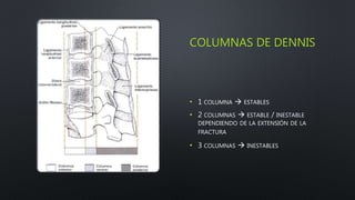 Radiología e imagen de columna toracolumbar | PPTX