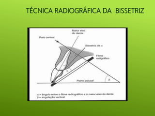 radiologia-odontologica-modulo-ii.pdf