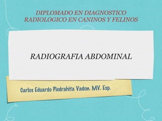 RADIOGRAFIA ABDOMINAL ,[object Object],Carlos Eduardo Piedrahita Vadon. MV. Esp. 