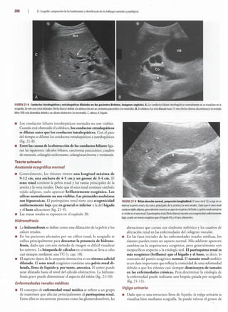 Radiologia basica. Aspectos fundamentales 3a Edicion.pdf
