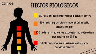 RADIOLOGIA CAP 4 VID.pdf