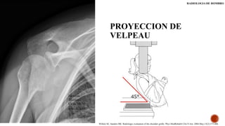 Comprehensive Radiological Techniques and Measurements for Shoulder ...