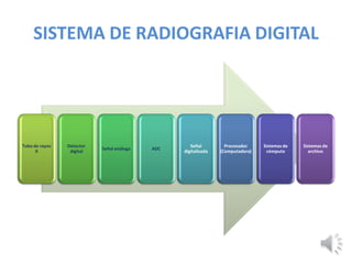 SISTEMA DE RADIOGRAFIA DIGITAL
Tubo de rayos
X
Detector
digital
Señal análoga ADC
Señal
digitalizada
Procesador
(Computadora)
Sistemas de
cómputo
Sistemas de
archivo
 