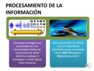 PROCESAMIENTO DE LA
INFORMACIÓN
Para que la imagen sea
procesada en una
computadora debe ser
convertida de señal
eléctrica (voltaje) o
analógica a señal digital
(valor binario).
Esta conversión se realiza
con un dispositivo
electrónico que se conoce
como ADC (Analog-to-
Digital Converter).
 