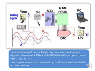 La computadora utiliza un software especial para crear imágenes
digitales utilizando el SISTEMA NUMERICO BINARIO que opera con una
base 2, esto es 0 y 1.
Las computadoras operan procesando y transformando estas unidades
en otras unidades.
 