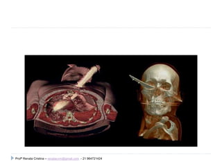 Profª Renata Cristina – renatacvm@gmail.com - 21 964721424
 