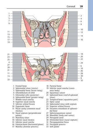 Pocket atlas of sectional anatomy Vol 1-2 | PDF