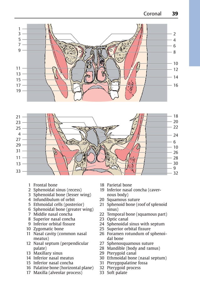 Pocket atlas of sectional anatomy Vol 1-2 | PDF