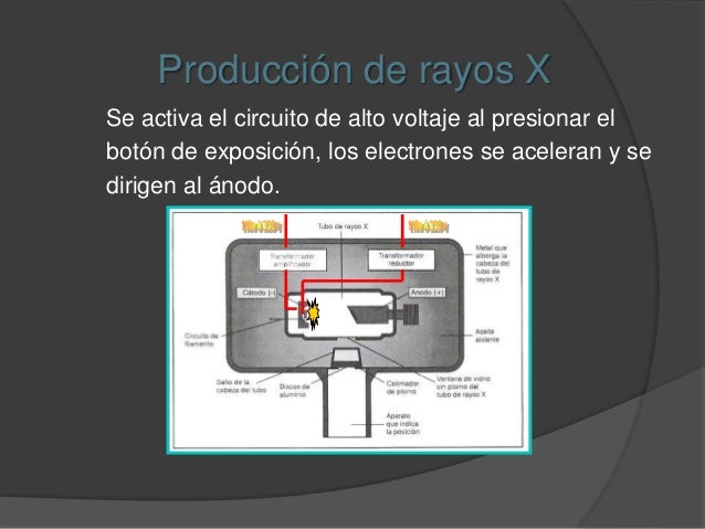 Radiologia primeros pasos