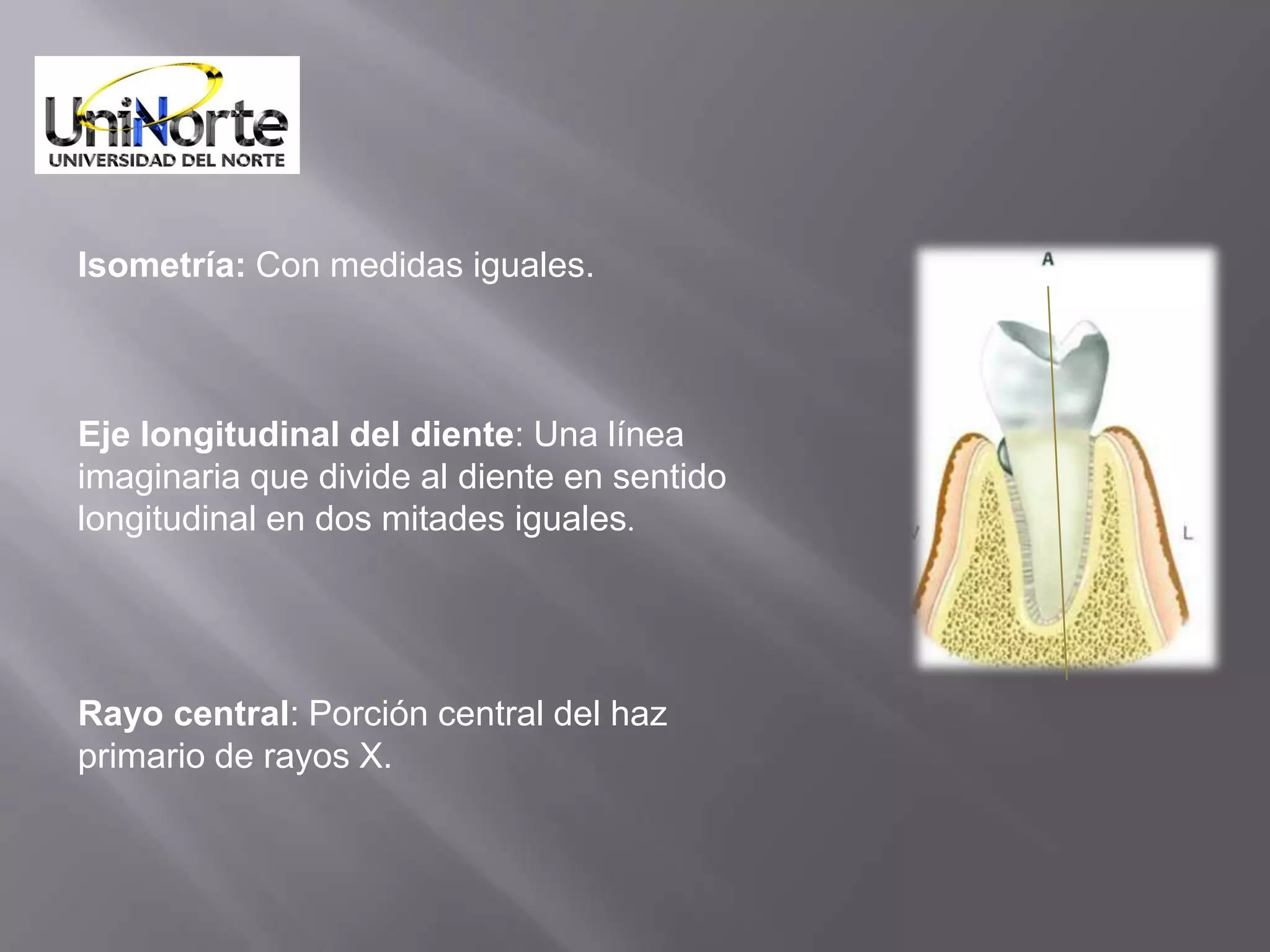 Isometría: Con medidas iguales.



Eje longitudinal del diente: Una línea
imaginaria que divide al diente en sentido
longitudinal en dos mitades iguales.




Rayo central: Porción central del haz
primario de rayos X.
 