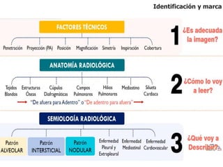 Identificación y marca
 