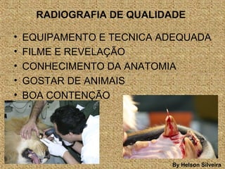 RADIOGRAFIA DE QUALIDADE
• EQUIPAMENTO E TECNICA ADEQUADA
• FILME E REVELAÇÃO
• CONHECIMENTO DA ANATOMIA
• GOSTAR DE ANIMAIS
• BOA CONTENÇÃO
By Helson Silveira
 