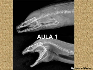 AULA 1
By Helson Silveira
 