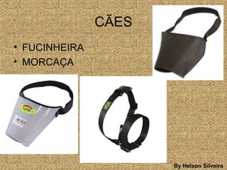CÃES
• FUCINHEIRA
• MORCAÇA
By Helson Silveira
 