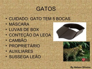 GATOS
• CUIDADO: GATO TEM 5 BOCAS.
• MÁSCARA
• LUVAS DE BOX
• CONTEÇÃO DA LEOA
• CAMBÃO
• PROPRIETÁRIO
• AUXILIARES
• SUSSEGA LEÃO
By Helson Silveira
 