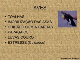 AVES
• TOALHAS
• IMOBILIZAÇÃO DAS ASAS
• CUIDADO COM A GARRAS
• PAPAGAIOS
• LUVAS COURO
• ESTRESSE (Cuidados)
By Helson Silveira
 