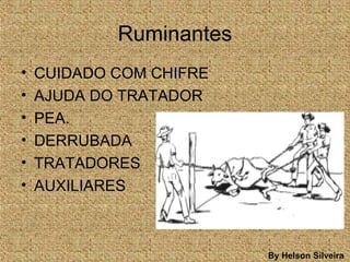 Ruminantes
• CUIDADO COM CHIFRE
• AJUDA DO TRATADOR
• PEA.
• DERRUBADA
• TRATADORES
• AUXILIARES
By Helson Silveira
 